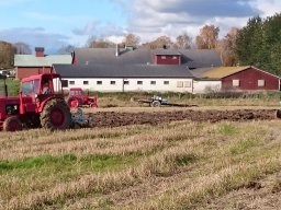 Plöjning vid Värla