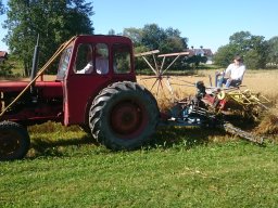 2015 08 22 Meja havre på gammalt vis