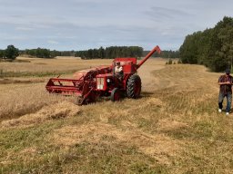 2021-08-24 Havretrösk hos Torstensson
